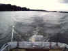 wisc_boat_stern.jpg (26557 bytes)
